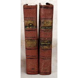 A Voyage to South America: Describing at Large, the Spanish Cities, Towns, Provinces, & c. on that Extensive Continent